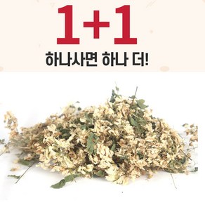 에밀리펫 아카시아