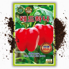 레드 파프리카씨앗 100립 빨강 파프리카 씨 종자, 1개