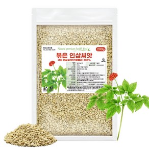 진생베리차 볶은 인삼 씨앗 진생베리 국내산 250g, 1개