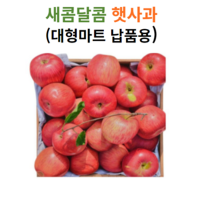 [재구매율1위] 고당도 산지직송 청송사과, 1박스, 2kg