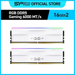 실리콘파워 Silicon Powe DDR5-6000 CL30 RGB PC5-48000 데스크탑 메모리키트, 16GBx2 화이트