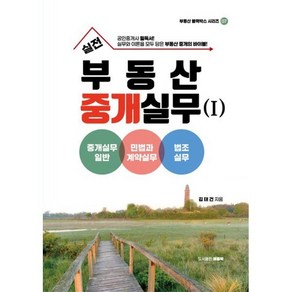 실전 부동산중개실무 1: 중개실무일반 민법과계약실무 법조실무, 애플북, 김태건 저