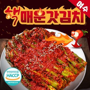 여수 핵 매운 갓김치 돌산 불갓김치 맛있게 매운 실비김치 당일생산 김치맛집 식객 허영만, 2kg, 1개