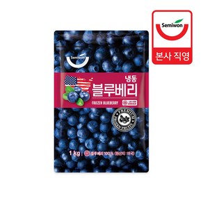 냉동 블루베리 1kg, 1개