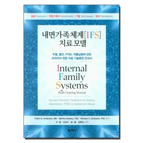 NSB9788999722158 새책-스테이책터 [내면가족체계(IFS) 치료모델]-우울 불안 PTSD 약물남용에 관한 트라우마 전문 치료 기술훈련, 내면가족체계(IFS) 치료모델