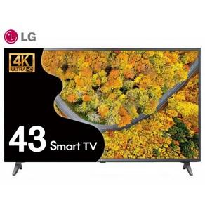 LG TV 43인치 109cm 4K UHD 스마트TV 유튜브 OTT 43UP751, 방문설치, 스탠드형, 43인치(109cm)