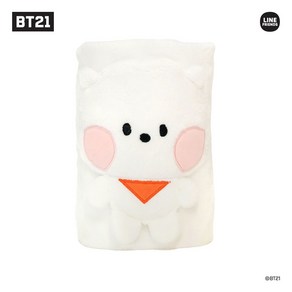 BT21 미니니 인형 담요 휴대용 항공 이불담요 RJ