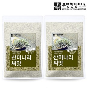 부영한방약초 산미나리씨앗 (회향) 500g 펜넬차, 2개, 1개입