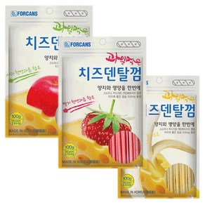 포켄스 강아지간식 과일먹은 치즈덴탈껌 100g/3종 3팩, 1개, 기본