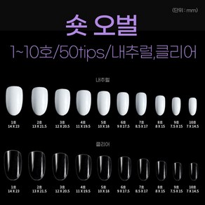 네일아트판 리필팁 숏오벌 네일팁 50tips, 1개, 8호