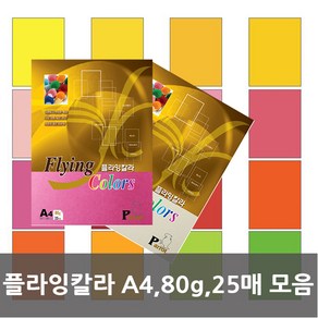 플라잉칼라 A4/80g/25매모음, 플라잉칼라 P41