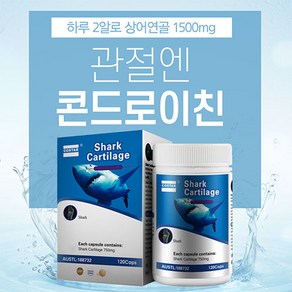 관절엔 콘드로이친 1500mg 호주 저분자 철갑상어 연골 뮤코다당 글루코사민 관절영양제