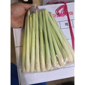 레몬그라스 (500G) LEMONGRASS 생레몬그라스, 500g, 1개, 1개입