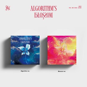 QWER (큐더블유이알) - Algorithms Blossom (미니 2집 앨범) (2종세트)