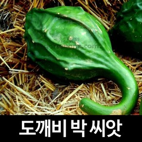 도깨비박 씨앗 조롱박 종자 도깨비 방망이 박씨 5알, 1개