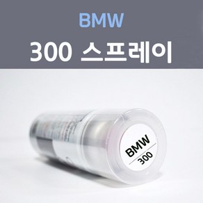 제일케미칼 BMW 비엠더블유 300 알파인화이트 6 스프레이 자동차 차량용 카 페인트, 1개, 200ml