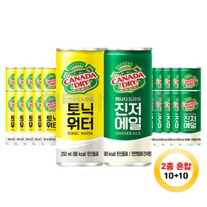 캐나다드라이 토닉워터 진저에일 각 10캔씩 250ml 20캔, 20개