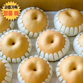 도도한식탁 배 나주 프리미엄 과일 고당도 가정용 선물용, 1박스, 5kg (6-9과)