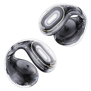 앤커 사운드코어 투명 디자인 무선 블루투스 이어폰, 블랙, C30I