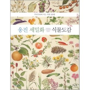 웅진 세밀화 식물도감 : 우리나라에 사는 식물 320종, 심조원 글/김시영,김혜경 외 그림/김진석,박석근 ..., 호박꽃