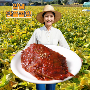 오른푸드 삭힌 양념 단풍콩잎 장아찌 김치