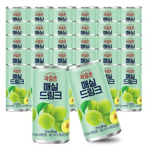 해태 과일촌 매실 175ml 30캔 음료수 과일주스, 30개