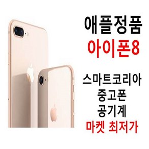 애플정품 아이폰8 공기계, 내장메모리, 64기가