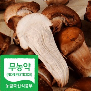 국내산 친환경 정품 참송이 버섯, 1박스, 1kg(상품)