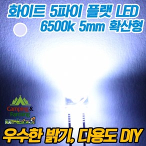 5파이 플랫 확산형LED(화이트/DIY용/다용도/교재용)