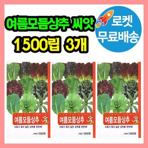 텃밭 한번에OK 모듬상추 씨앗 (9종) 고급채소 특수야채 맛좋고 인기좋은 상추 품종 모음, 3개