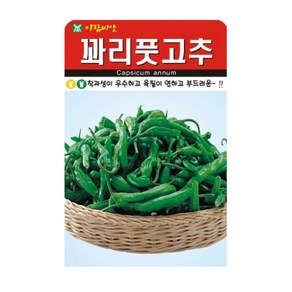 자재1번가 꽈리풋고추 씨앗 50립 꽈리고추 씨 종저, 1개