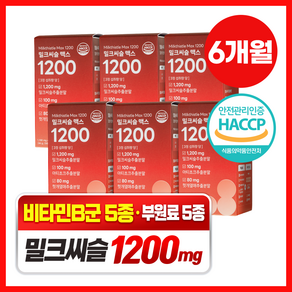 담을수록 밀크씨슬 맥스 1200 / 식약처인증 고함량 밀크씨슬 실리마린 600mg 간영양제, 6박스, 60정