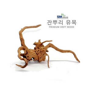 SM 프리미엄 잔뿌리 유목 [소], 1개