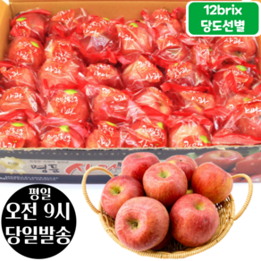 [오전8시 주문건 당일발송] 12브릭스 당도선별 세척사과, 10kg (54~65입), 1개
