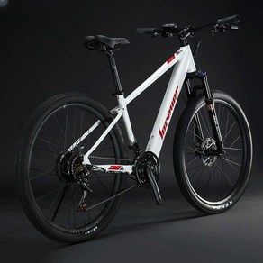 전기자전거 출퇴근 2023년 E-BIKE 리튬전지