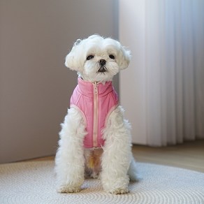 멍냥부띠크 강아지 겨울옷 비비드 양면 패딩 조끼, 핑크, 1개