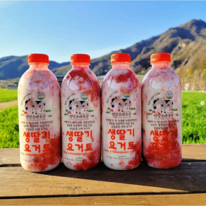 평창보배목장 생딸기 요거트 1000ml 딸기 요거트 요구르트, 2개