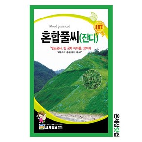 혼합풀씨 1kg/ 골프장잔디 잔디씨앗 풀밭 잔디 법면녹화 잔디씨 풀씨