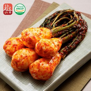 화통김치 총각김치 포기김치, 2kg, 1개