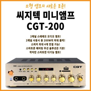 씨지텍 미니 앰프 200W