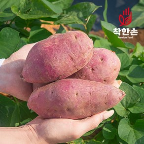 [착한손] 가성비 못난이 고구마 꿀고구마 밤고구마, 못난이 밤고구마 2.5kg (크기랜덤), 1개