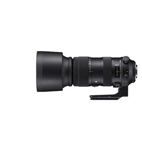 Sigma Spots 60-600mm F4.5-6.3 DG OS HSM Canon EF mount