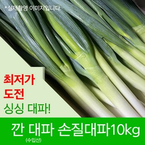 싱싱한 깐대파 손질대파 10kg 신선 식자재 업소용 수입대파 1box, 1개