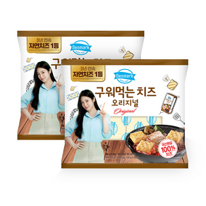 덴마크 구워먹는치즈 500G, 2개