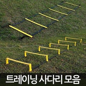 트레이닝 사다리 스텝레더 연습용 축구 속도 훈련용