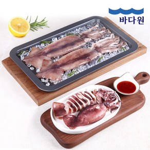 [바다원] 손질통오징어 400g x 8팩 (16마리), 8개