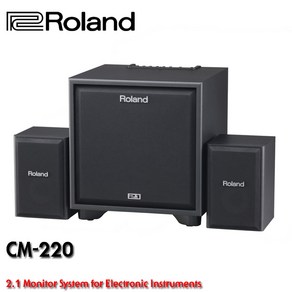 Roland Cube Monito CM-220 (2.1Ch Monitoing System), 1개