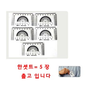 5장한셋트 엘엔피 국산 크랙스켈 LNP-2 크랙게이지 균열게이지 균열자 LNP2 크랙측정 콘크리트균열측정기 토탈공구