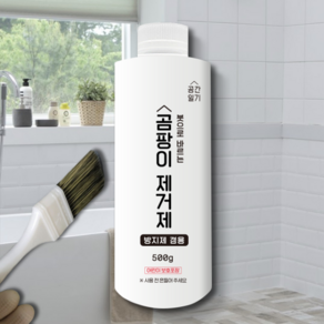 공간일기 바르는 곰팡이제거제 500g, 1개