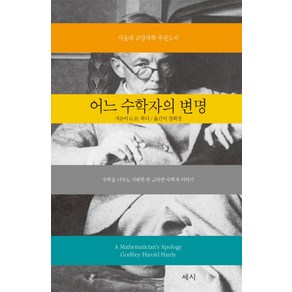 어느 수학자의 변명:수학을 너무도 사랑한 한 고독한 수학자 이야기